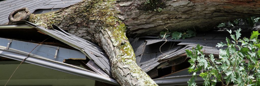 Damage restoration services in Provo, UT